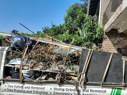 Best Basement Cleanout  in Tremonton, UT